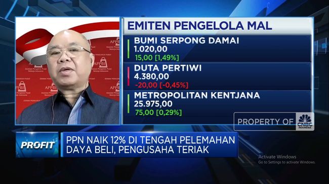 video-daya-beli-anjlok-ppn-naik-jadi-12-bisnis-ritel-terancam_a85059d.jpg