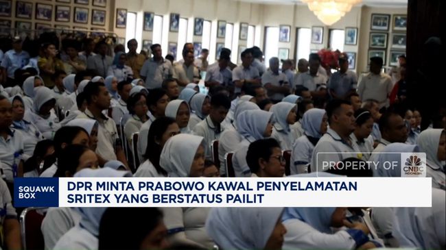 video-dpr-minta-prabowo-kawal-penyelamatan-sritex-yang-divonis-pailit_66b6838.jpg