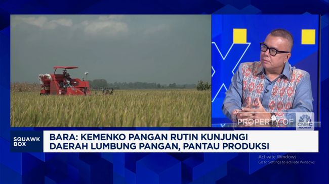 video-jurus-pemerintah-setop-impor-beras-cs-bikin-petani-sejahtera_da820b2.jpg