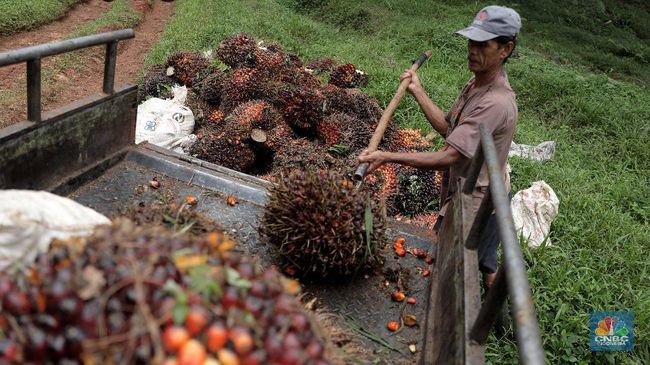 3-hari-harga-cpo-naik-terus-tanda-sahamnya-bisa-bangkit_0230fad.jpg