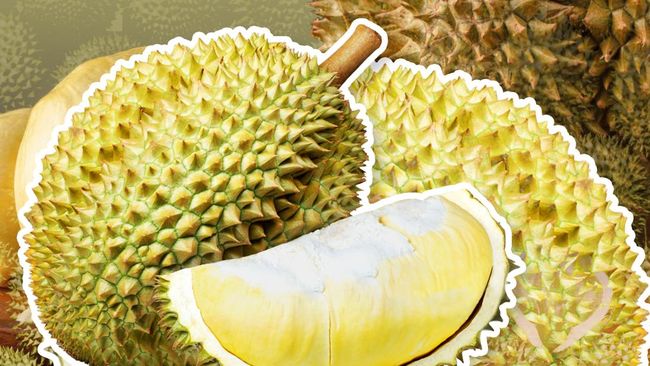 bahaya-jangan-konsumsi-6-makanan-ini-bareng-durian_b056a7f.jpg