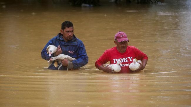 horor-tetangga-ri-digulung-banjir-dahsyat-kota-kota-tenggelam_723f598.jpg