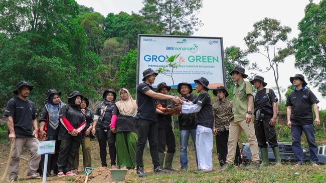 kelompok-tani-di-bogor-sukses-pulihkan-hutan-bekas-tambang_e2242fc.jpg