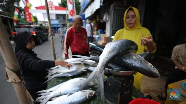 penjual-ikan-bandeng-dadakan-mulai-muncul-di-rawa-belong-ada-apa_f9f7181.jpg