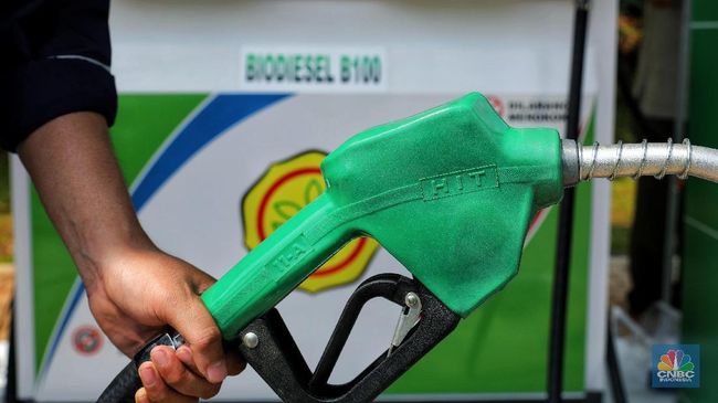 tok-hip-biodiesel-februari-2025-ditetapkan-rp13-231-per-liter_12ab09f.jpg