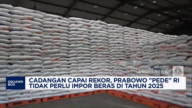 video-cadangan-capai-rekor-prabowo-pede-ri-tak-impor-beras-di-2025_21c8946.jpg