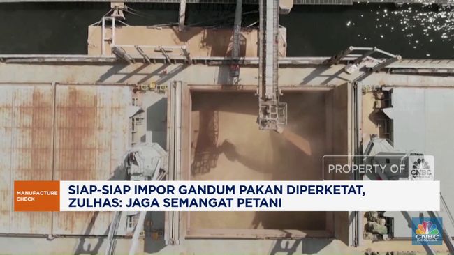 video-impor-gandum-pakan-bakal-diperketat-jaga-semangat-petani_c928026.jpg