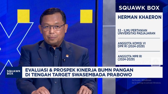 video-masalah-benih-pupuk-belum-kelar-yakin-ri-swasembada-pangan_b4748ea.jpg