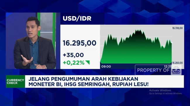 video-rupiah-anjlok-sentuh-rp16-300-usd-bi-diramal-tahan-suku-bunga_504e98e.jpg