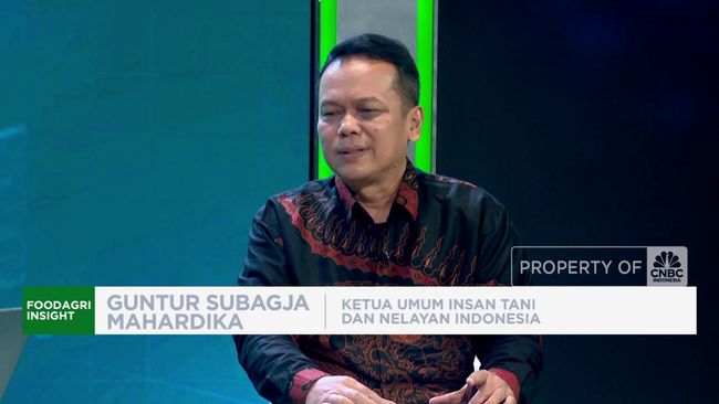 video-selain-hpp-petani-berharap-pemerintah-bereskan-rantai-pasok_1ab2e76.jpg