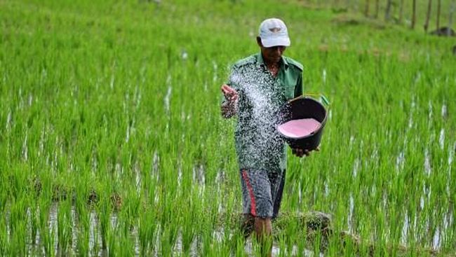 gali-sawah-ketemu-emas-16-kg-petani-jawa-mendadak-kaya_6699b28.jpg