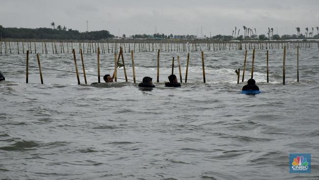 menteri-trenggono-ungkap-pemilik-pagar-laut-bersertifikat-di-sidoarjo_1809362.jpg