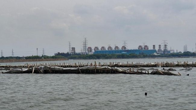 pagar-laut-di-bekasi-akhirnya-dibongkar_df3ba3c.jpg