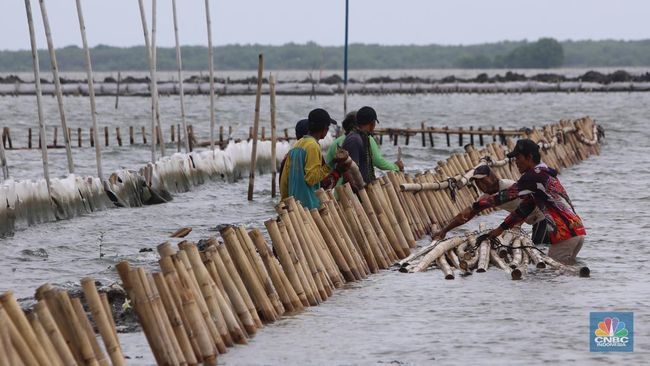 penampakan-ekskavator-berenang-ikut-bongkar-pagar-laut-di-bekasi_f040d0e.jpg