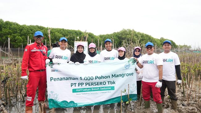 ptpp-tanam-1-000-mangrove-di-pesisir-tambakrejo_ada9c46.jpg