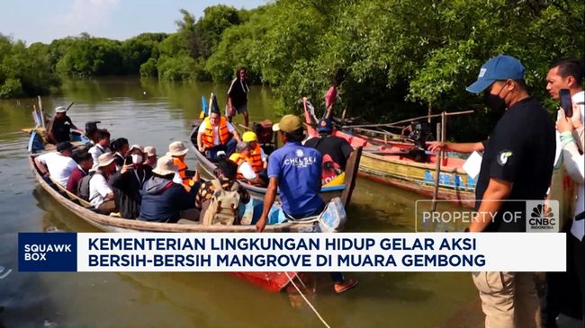 video-klh-bersih-bersih-mangrove-di-muara-gembong_547b405.jpg