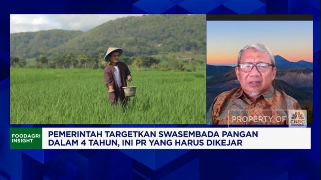 video-setop-ubah-sawah-jadi-perumahan-pr-prabowo-capai-swasembada_62ea324.jpg