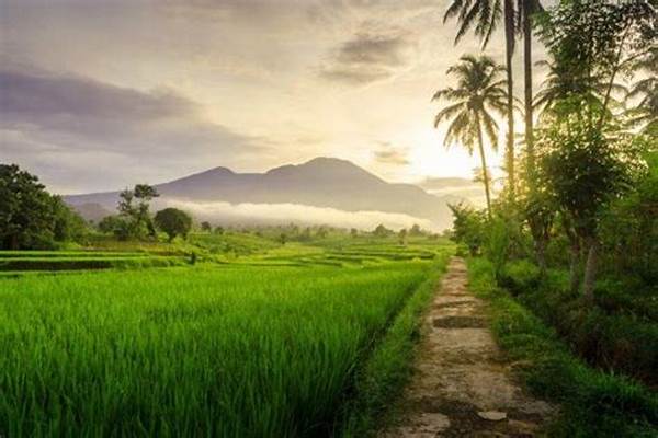 jalan-jalan-asri-dengan-pemandangan-hijau_a2150892d.jpg