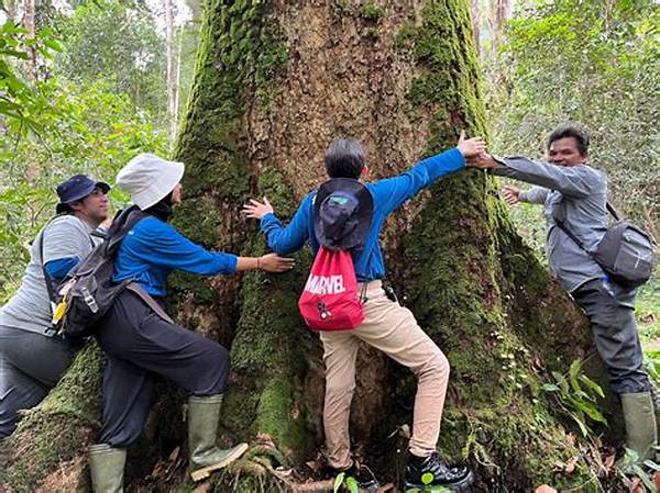 jelajah-hutan-dengan-pemandu-lokal_e15ba6223.jpg