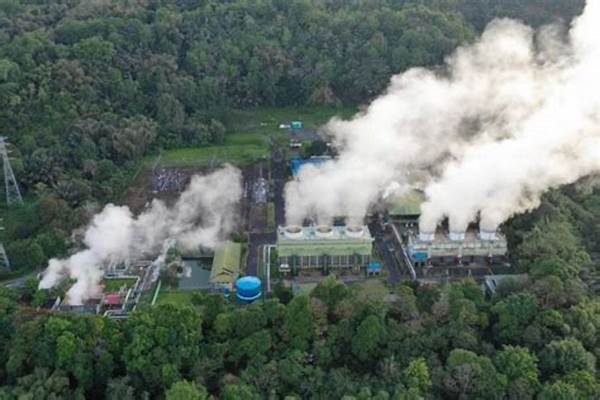 pengurangan-konsumsi-bahan-bakar-fosil_6a5c44ef9.jpg