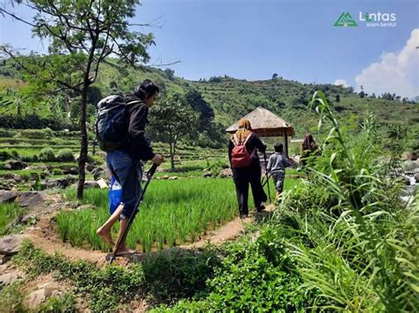 pilihan-hiking-seru-dan-menyehatkan_806e22762.jpg