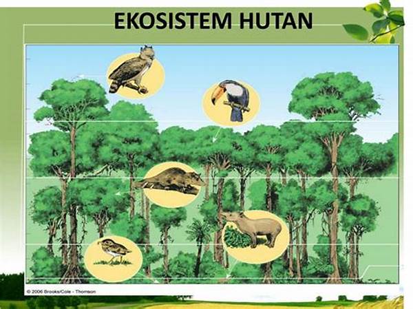 jelajah-ekosistem-hutan-dengan-pemandu_17cf2ac91.jpg